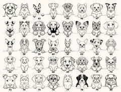 Dog Sibling Baby Bodysuit Protected By Pet Design For Newborns