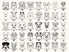Dog Sibling Baby Bodysuit Protected By Pet Design For Newborns