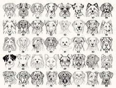 a grid of 24 black and white line drawings depicting various dog breeds, each with a unique facial expression and pose.