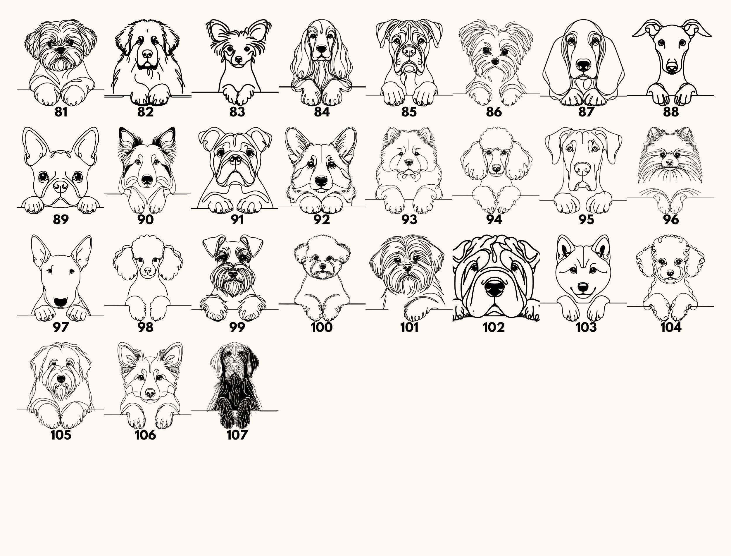 a collection of black and white line drawings depicting various dog breeds, including pugs, bulldogs, and other breeds.