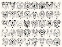 a grid of 24 black and white line drawings depicting various dog breeds, each with a unique facial expression and pose.