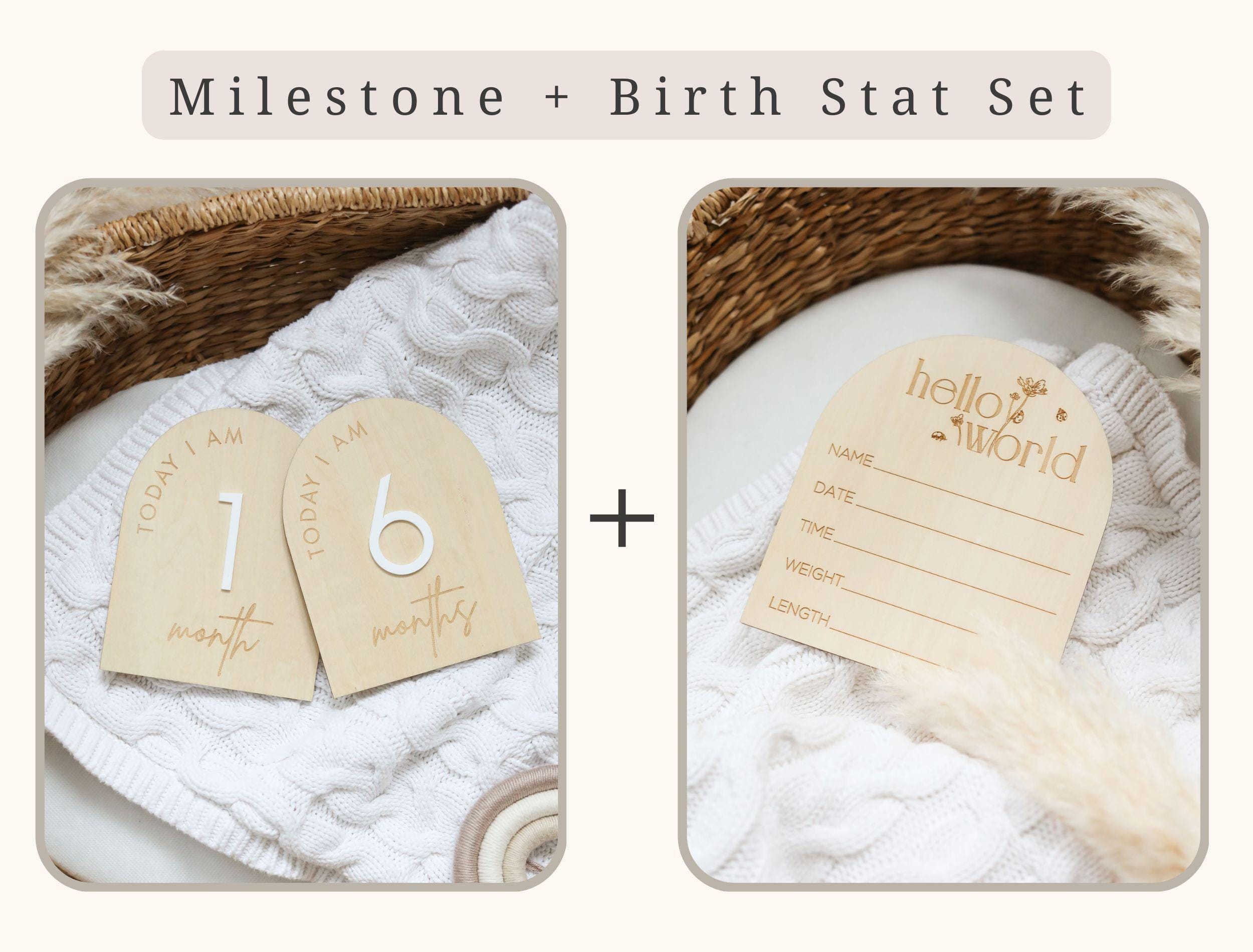 Arch Shaped Hello World Wooden Baby Announcement Sign - Baby Pandas