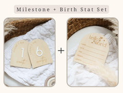 Arch Shaped Hello World Wooden Baby Announcement Sign - Baby Pandas