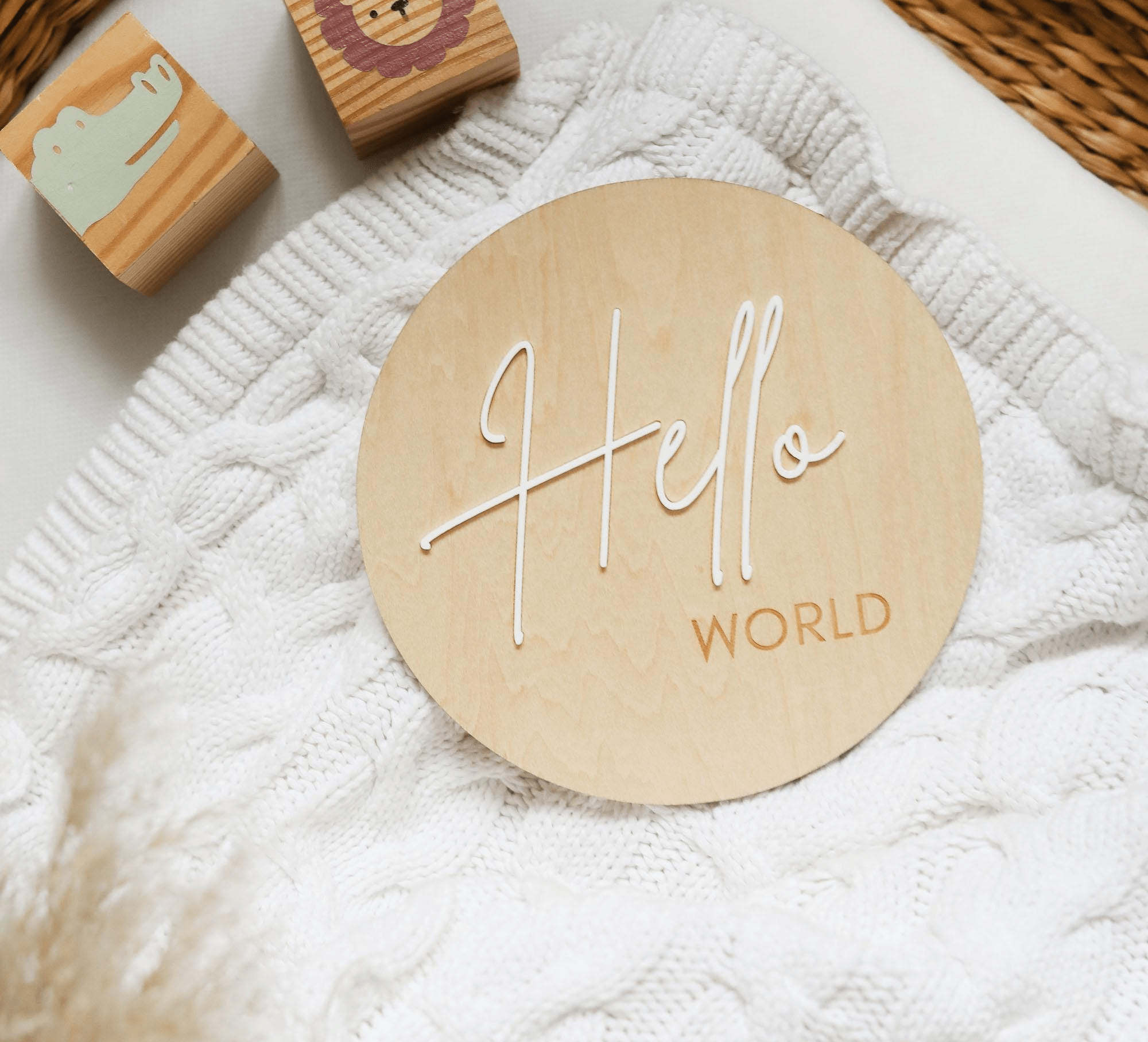 Classic Reversible Baby Milestone Wooden Sign - Baby Pandas
