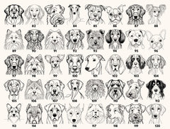 a grid of 24 black and white line drawings depicting various dog breeds, each with a unique facial expression and pose.