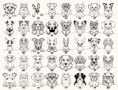 Dog Sibling Baby Bodysuit Protected By Pet Design For Newborns