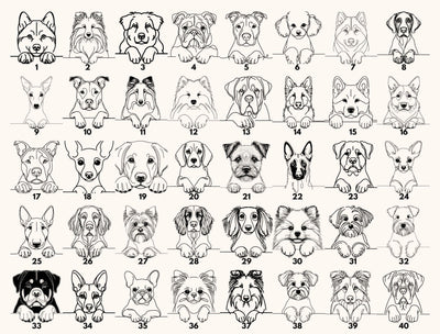 Dog Sibling Baby Bodysuit Protected By Pet Design For Newborns
