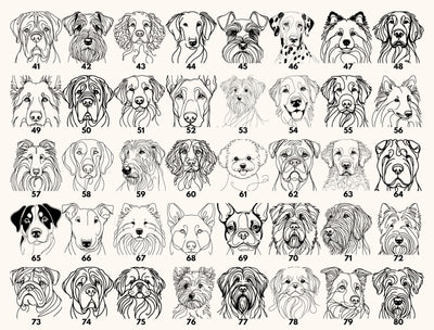 a grid of 24 black and white line drawings depicting various dog breeds, each with a unique facial expression and pose.