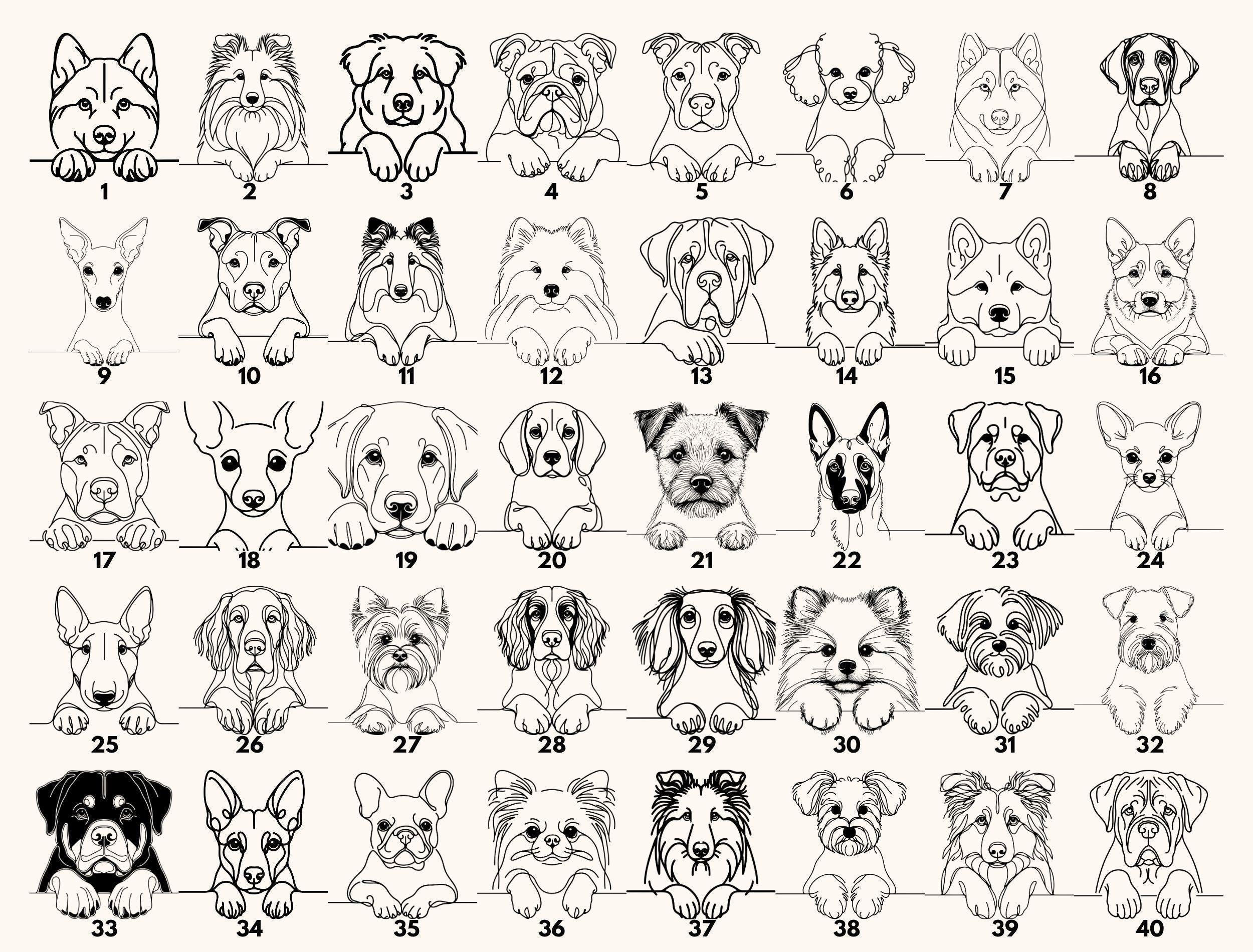 a grid of various dog breeds, each with a unique illustration, arranged in rows and columns.