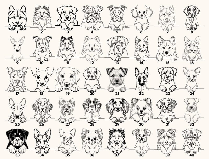 a grid of various dog breeds, each with a unique illustration, arranged in rows and columns.