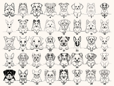 a grid of various dog breeds, each with a unique illustration, arranged in rows and columns.