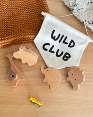 Safari Themed Nursery Wall Hooks