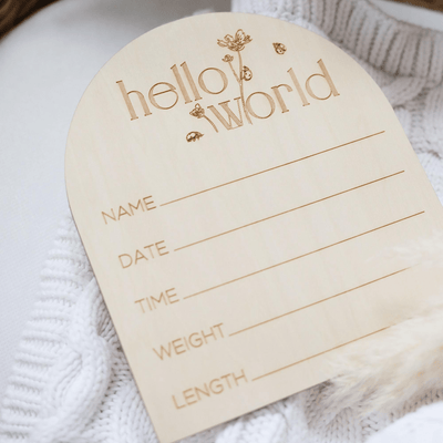Arch Shaped Hello World Wooden Baby Announcement Sign - Baby Pandas