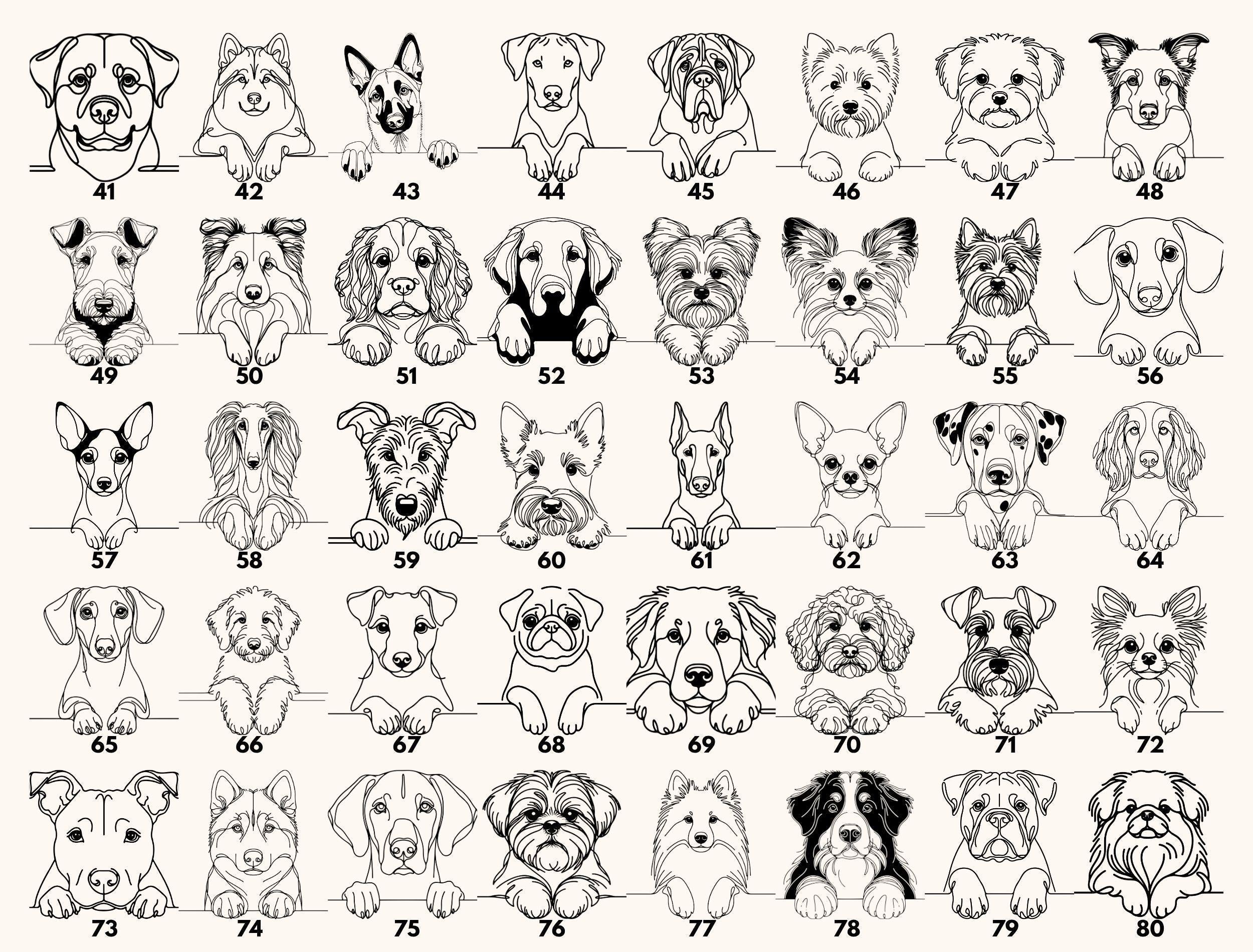 a grid of various dog breeds, each with a unique illustration, arranged in a visually appealing layout.