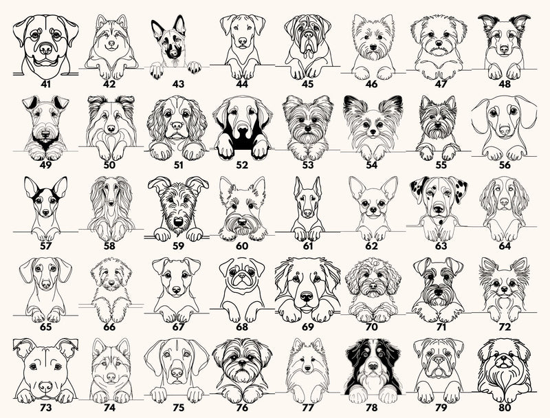 a grid of various dog breeds, each with a unique illustration, arranged in a visually appealing layout.
