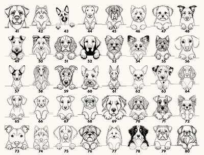 a grid of various dog breeds, each with a unique illustration, arranged in a visually appealing layout.