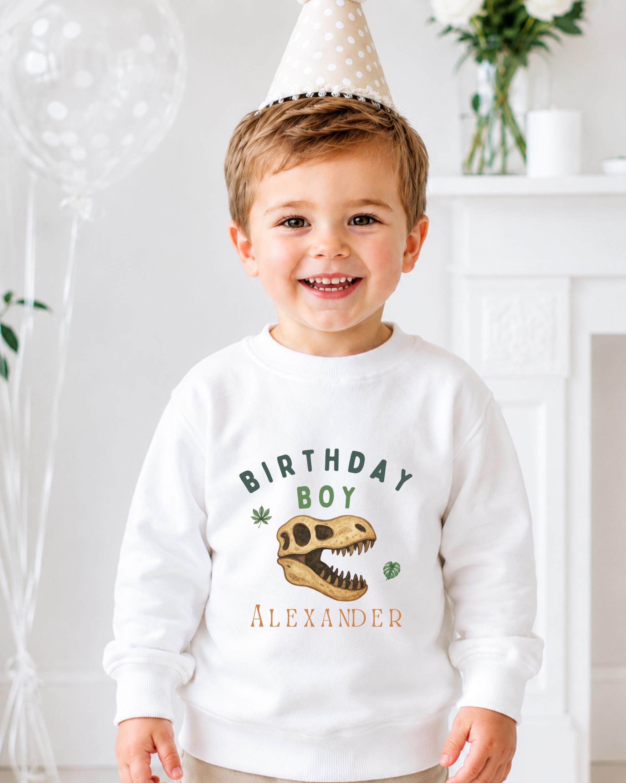 A young boy wearing a birthday hat and a white sweatshirt with a dinosaur graphic and the text "Birthday Boy Alexander" is smiling at the camera.