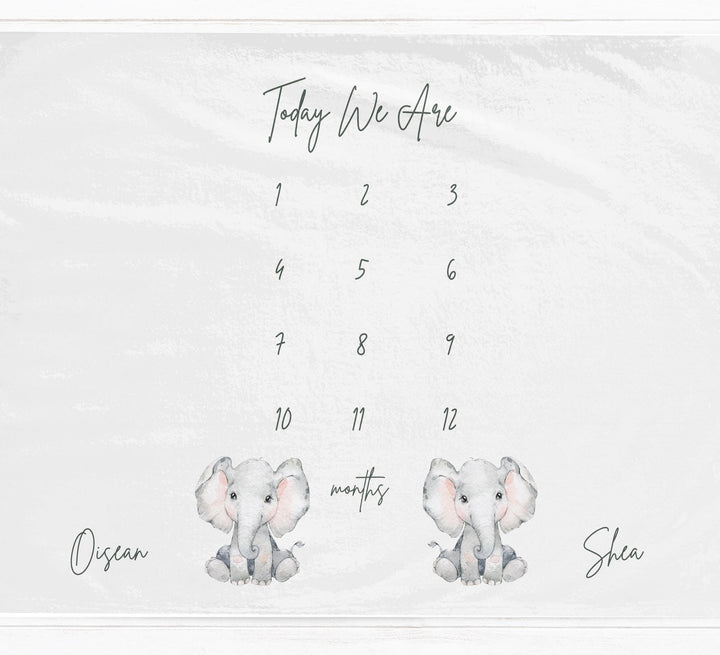 Twin Elephants Milestone Blanket - Baby Pandas