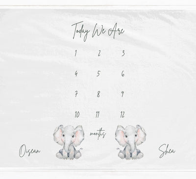 Twin Elephants Milestone Blanket - Baby Pandas